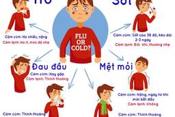 Tăng cường công tác phòng, chống bệnh Cúm A(H1pdm)