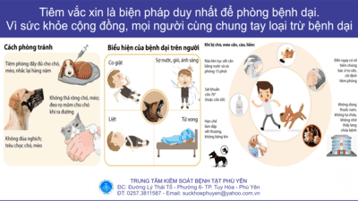 Tiêm văc xin là biện pháp duy nhất để phòng bệnh dại